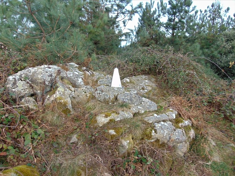 Tontorra