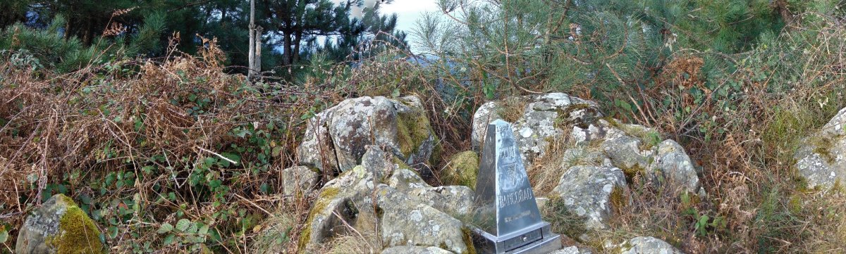 Tontorra