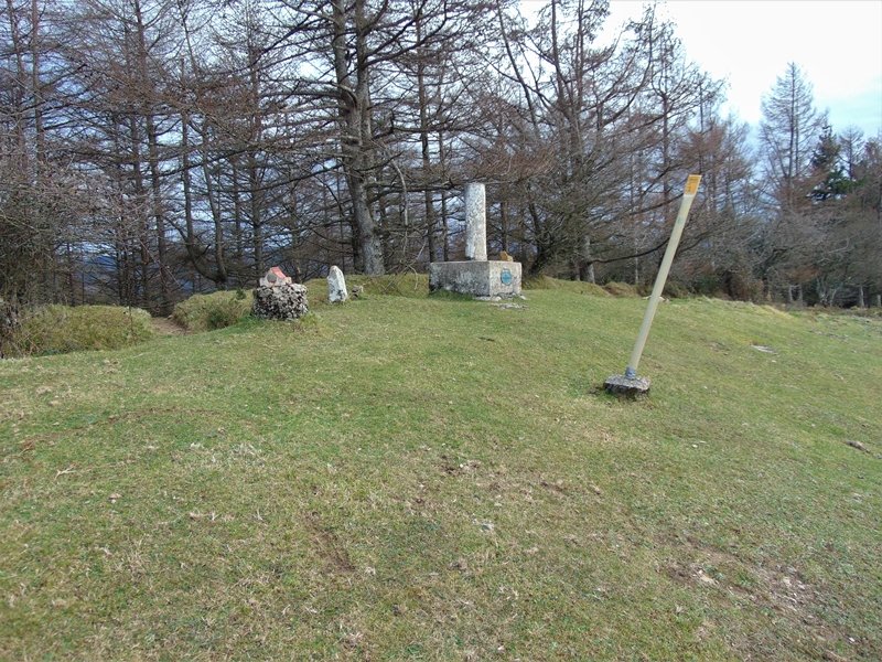 Tontorra