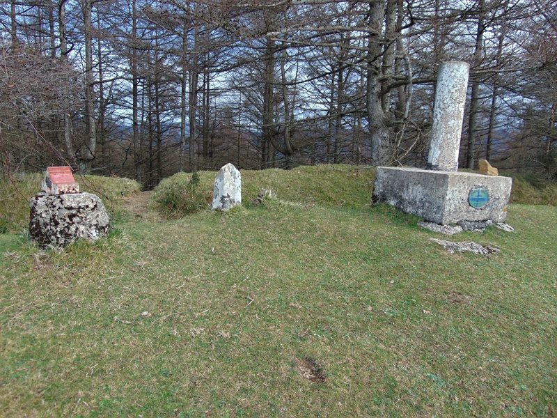 Tontorra