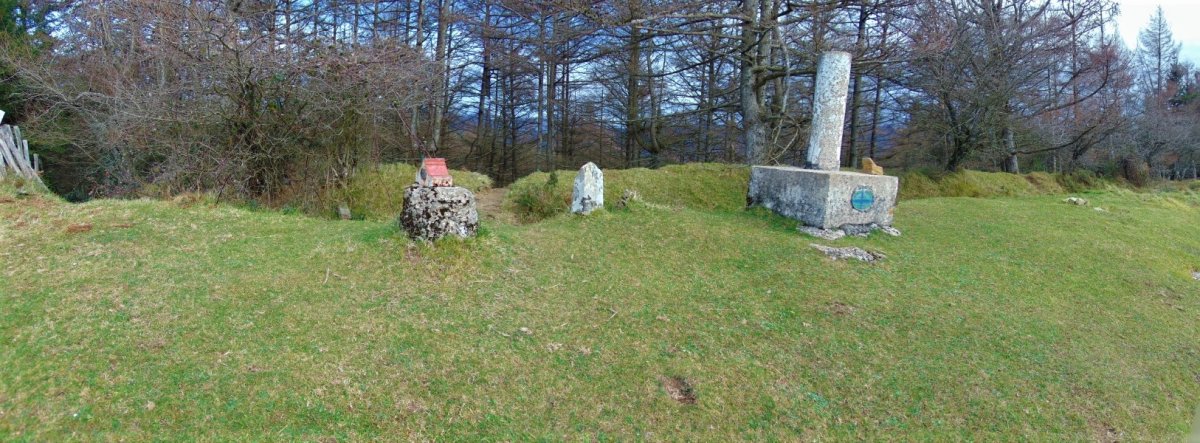 Tontorra