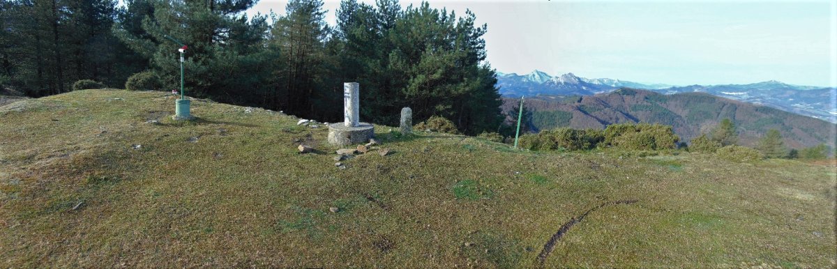 Tontorra