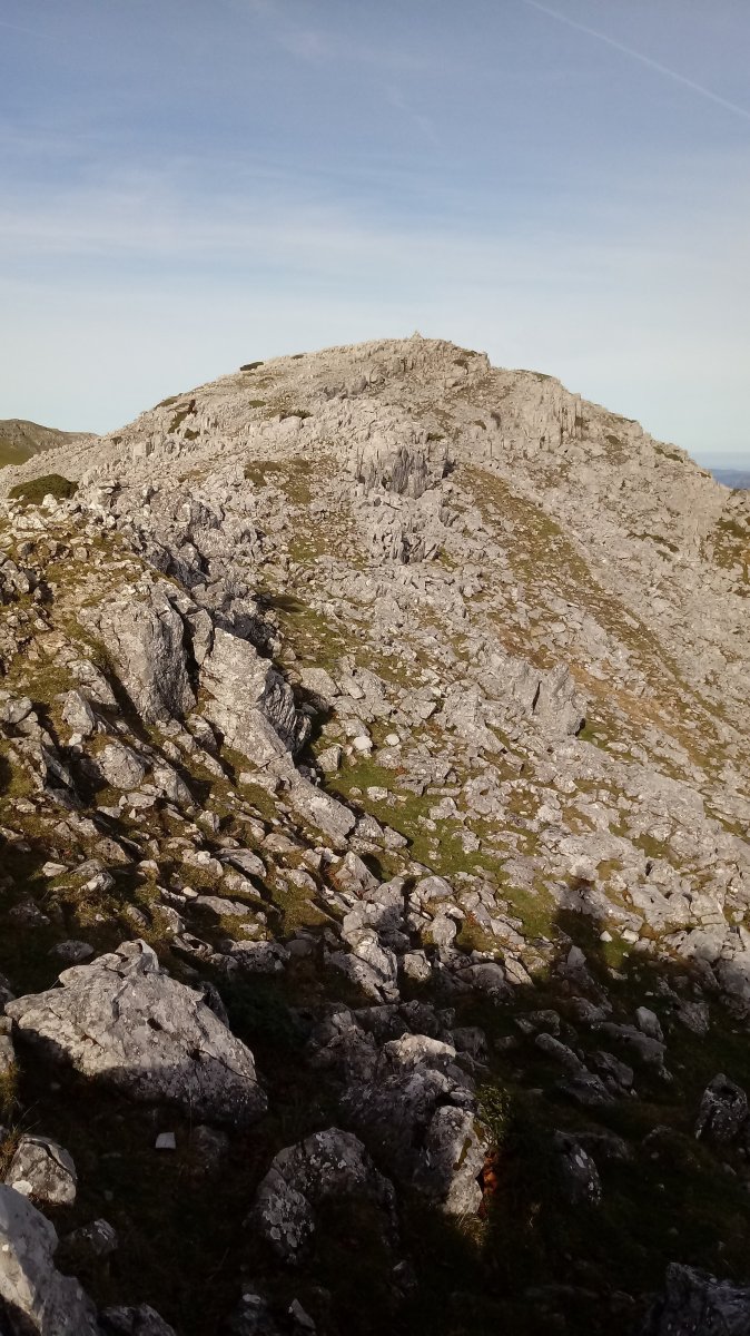 Burnigain tontorra (erpin geodesikoa)