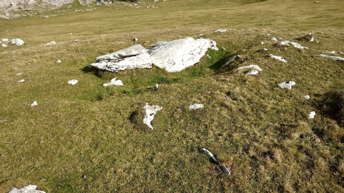 Igaratza Iparra trikuharria 2