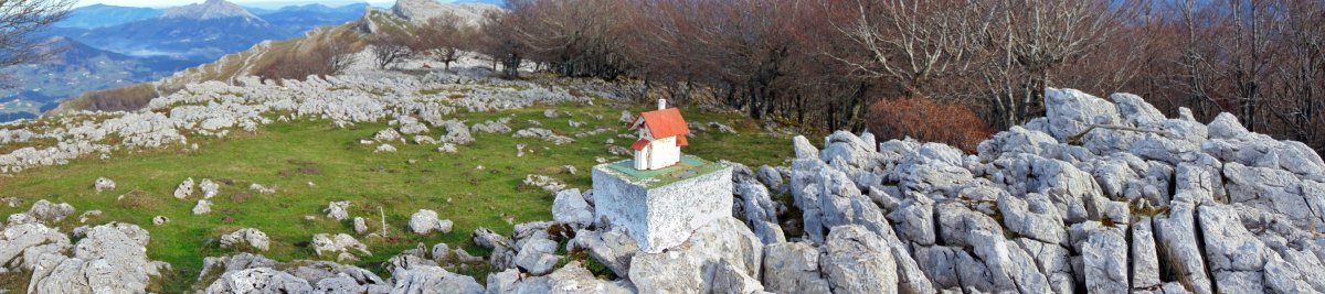Tontorra