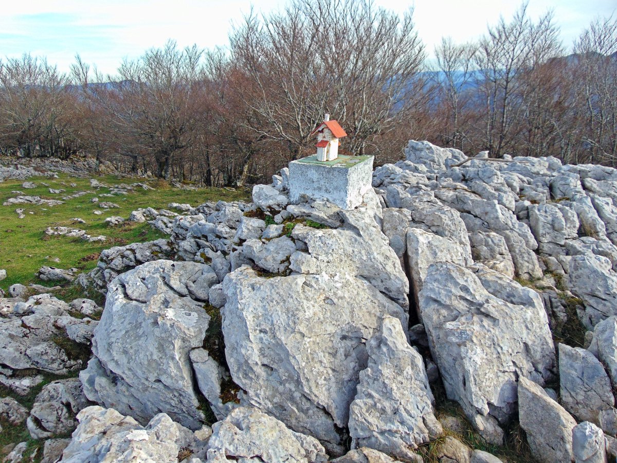 Tontorra