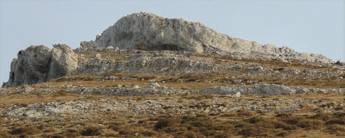 Elorreta