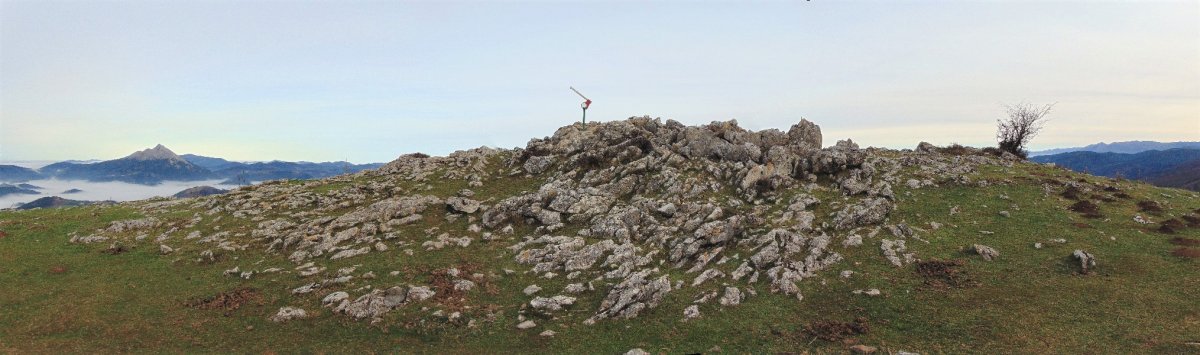 Tontorra