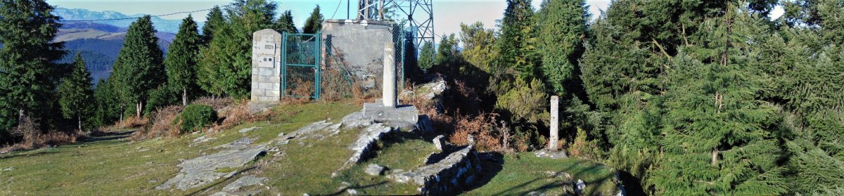 Tontorra
