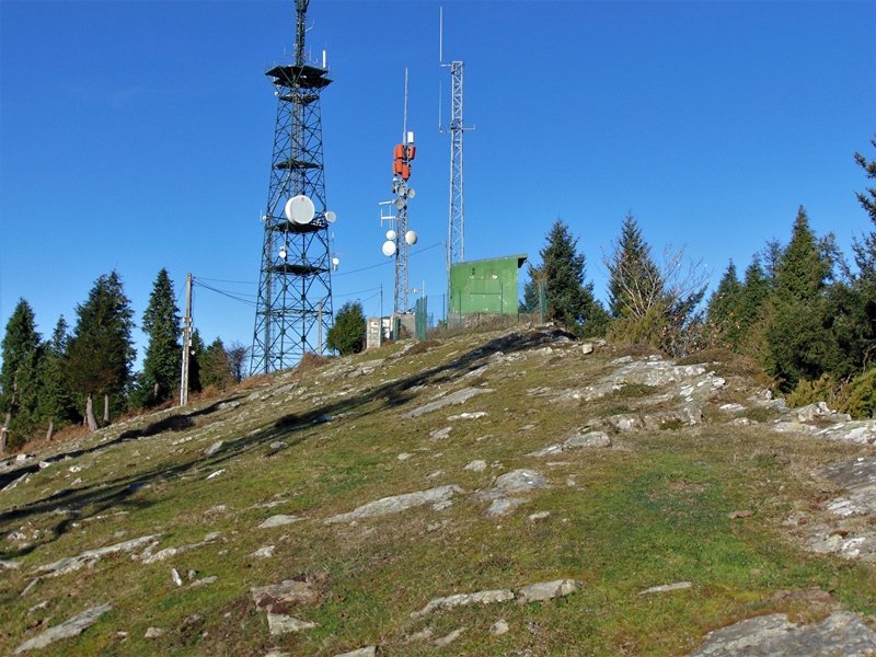 Tontorra