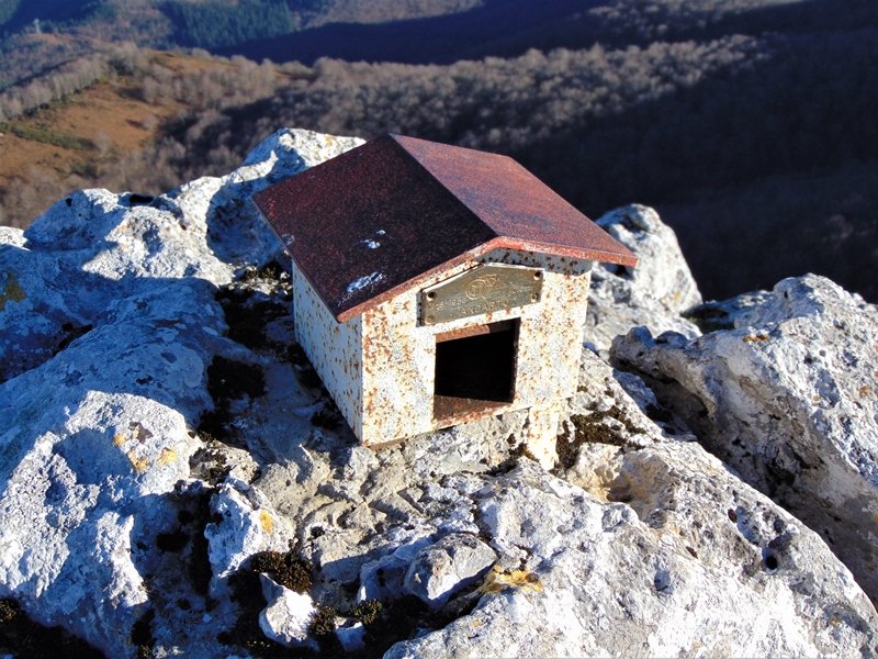 Buzoia