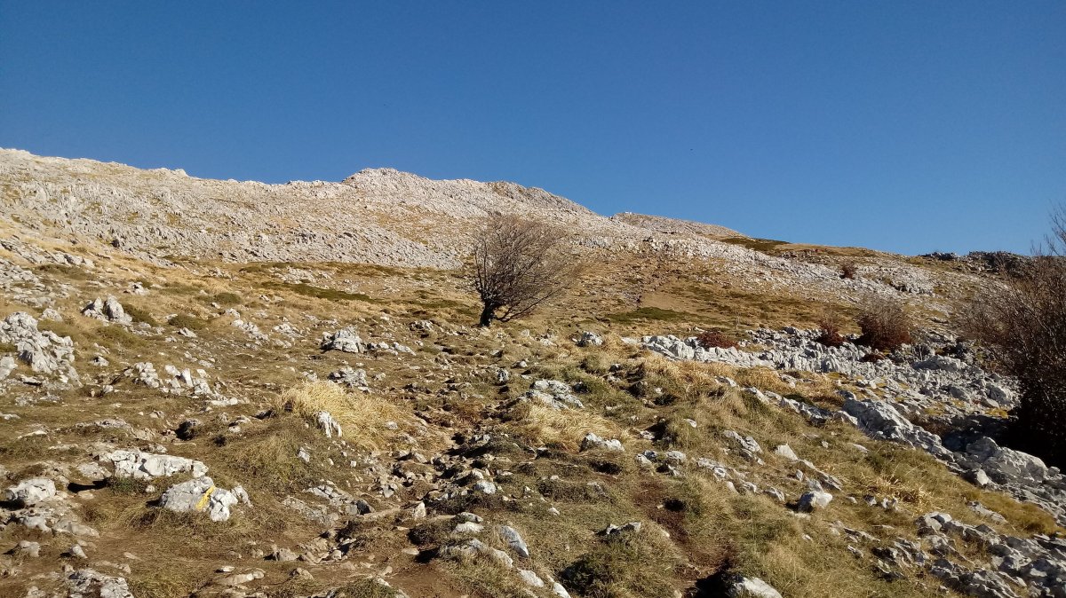 Aitxuri eta Aketegi aldea
