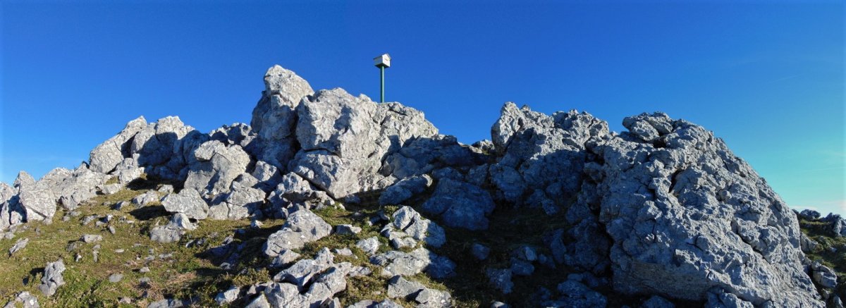 Tontorra
