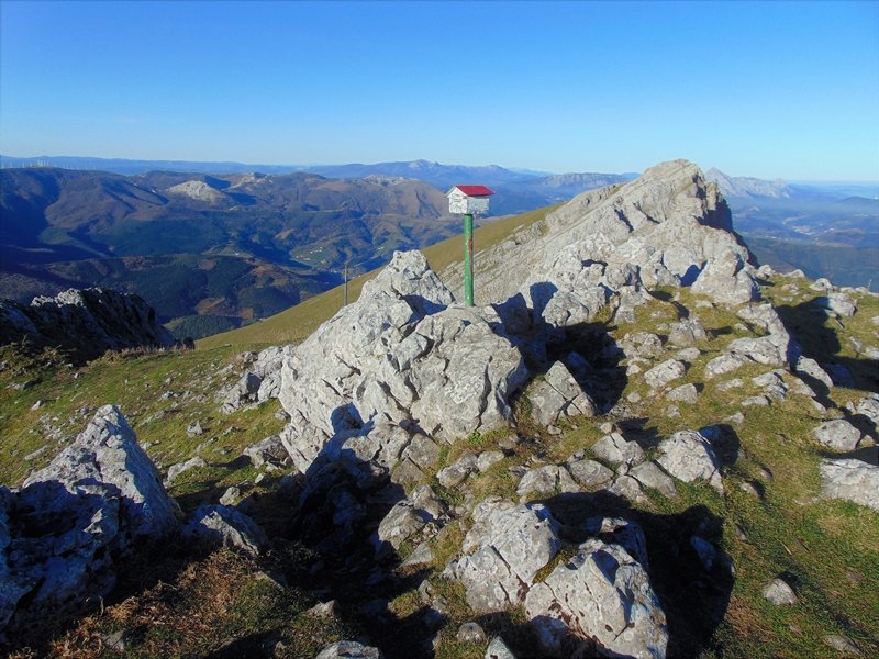 Tontorra