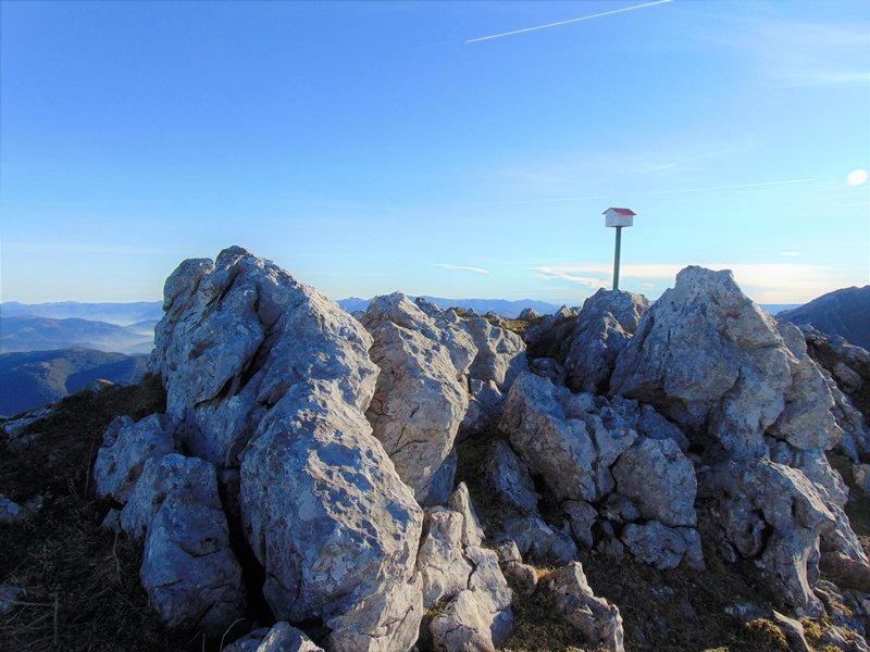 Tontorra
