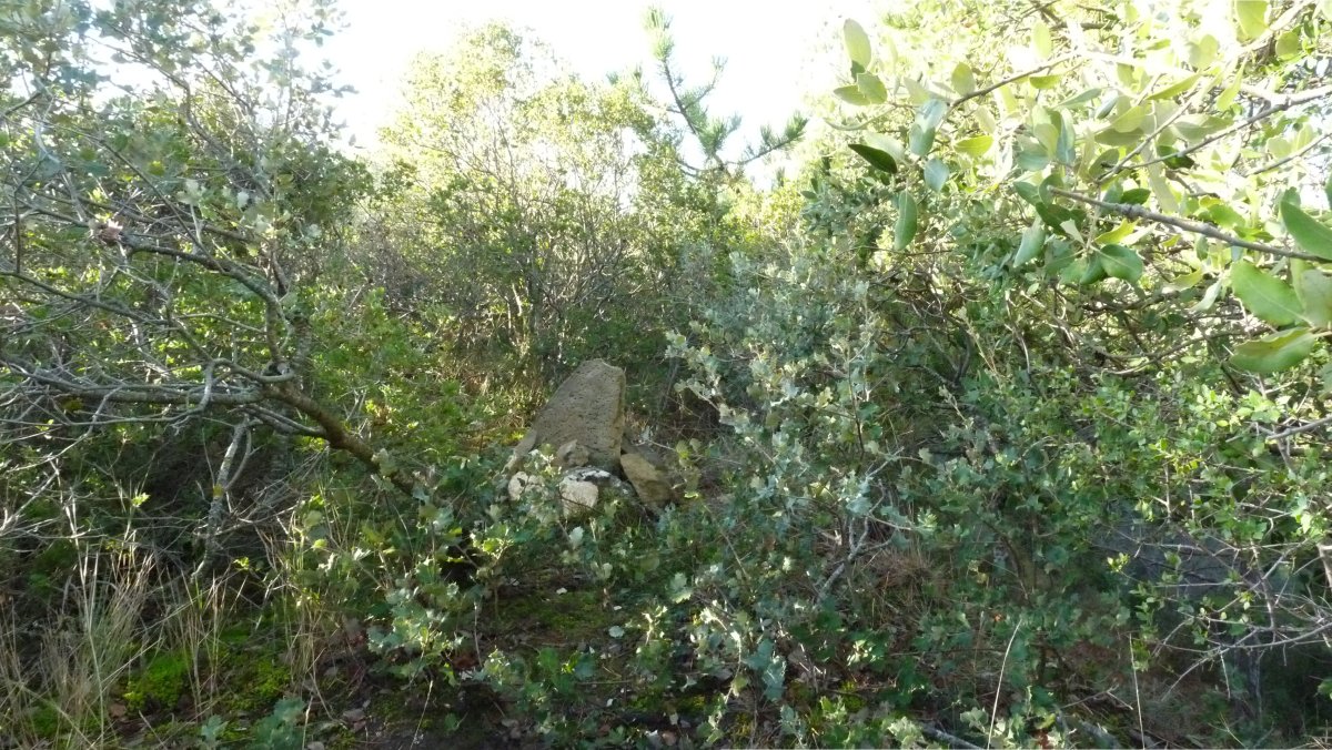 Muruzarko gailurra