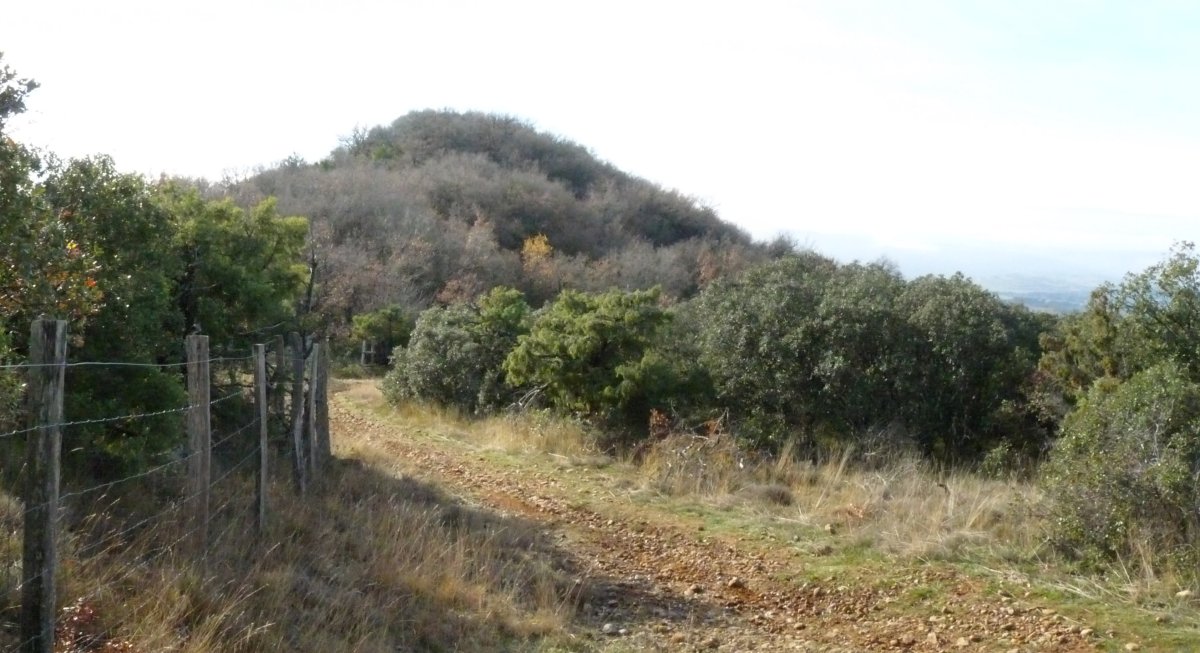 Peña del Ladron