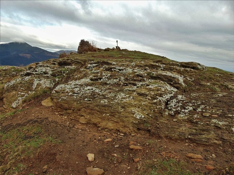 Tontorra