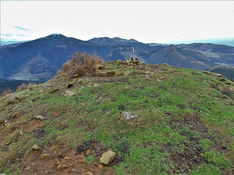 Tontorra