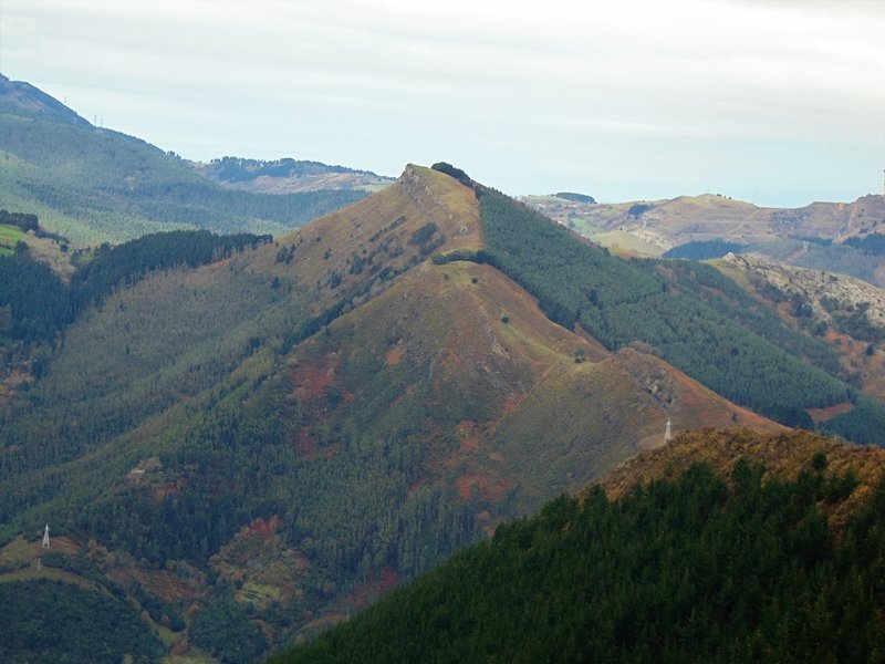Ganeroitz