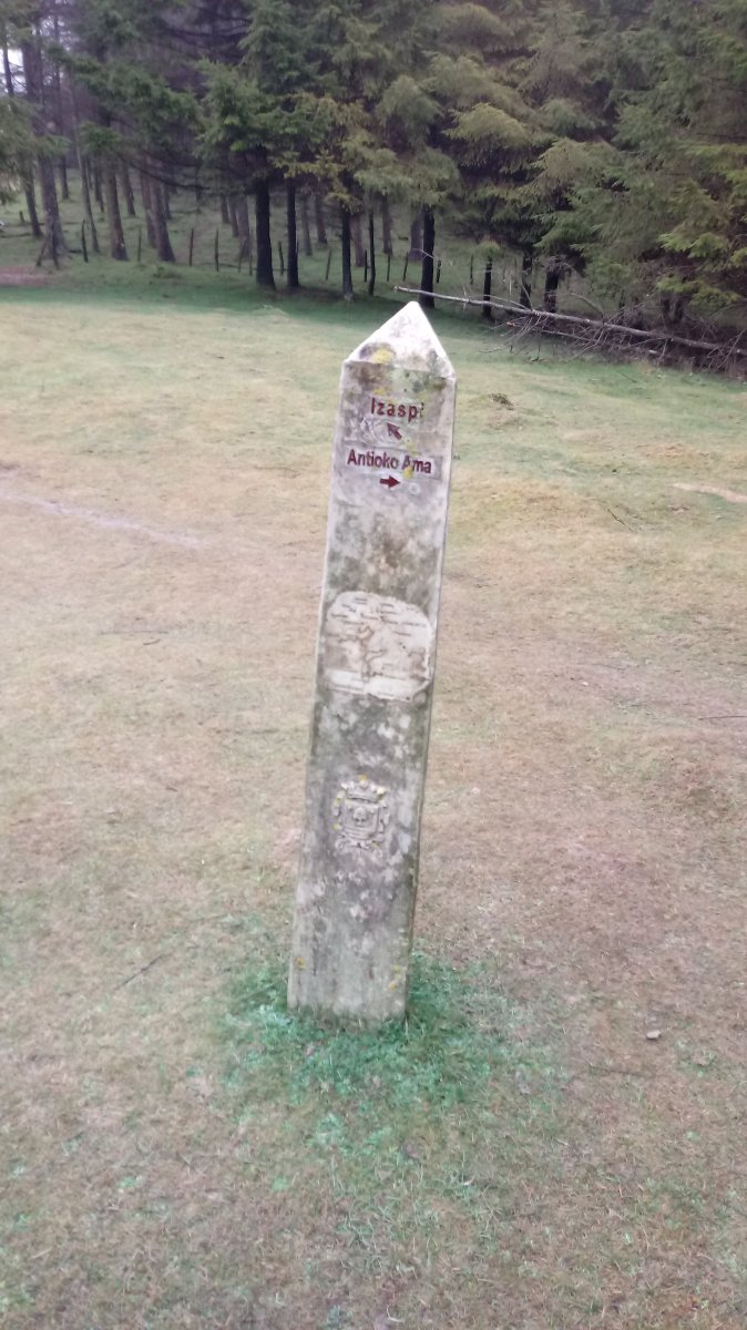 Izazpi seinalea