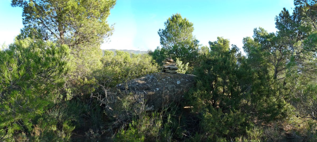 Balgorrako gailurra