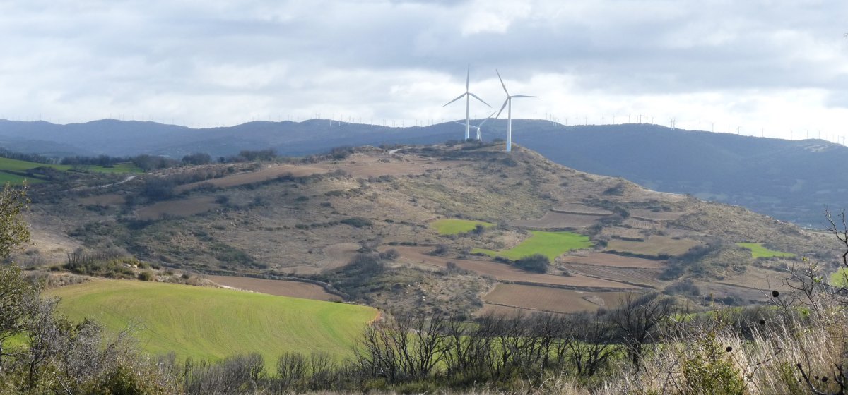Campaña mendia