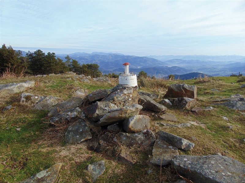 Tontorra