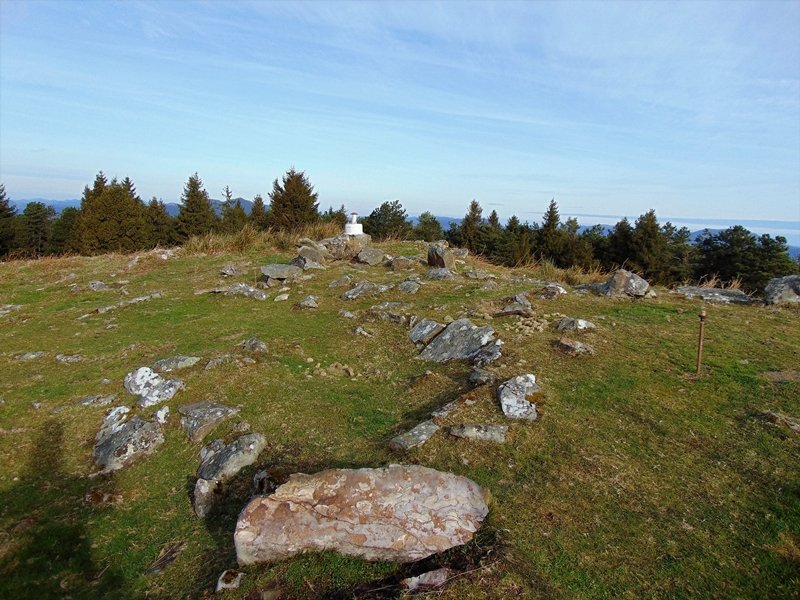 Tontorra