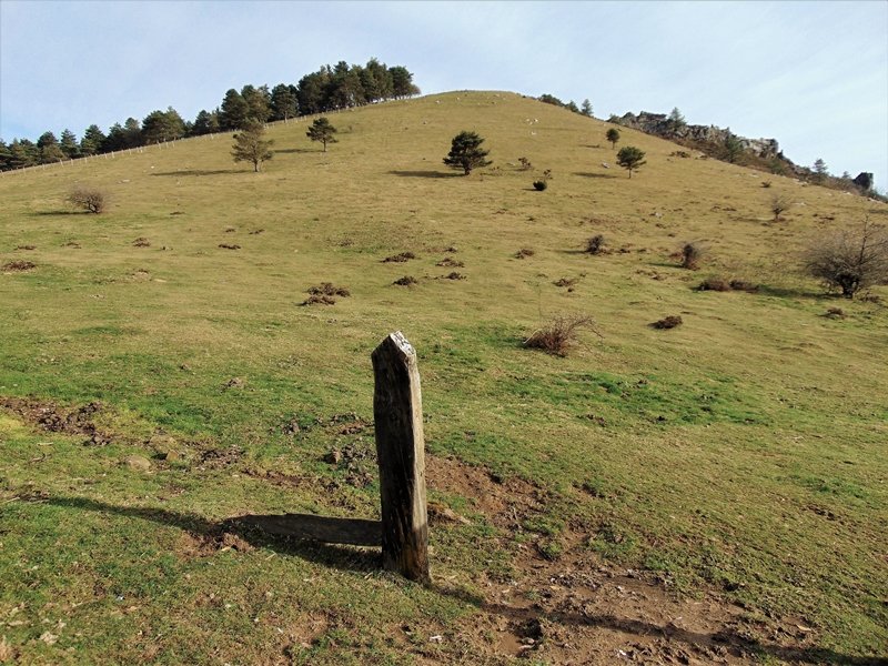 Arranoaitz