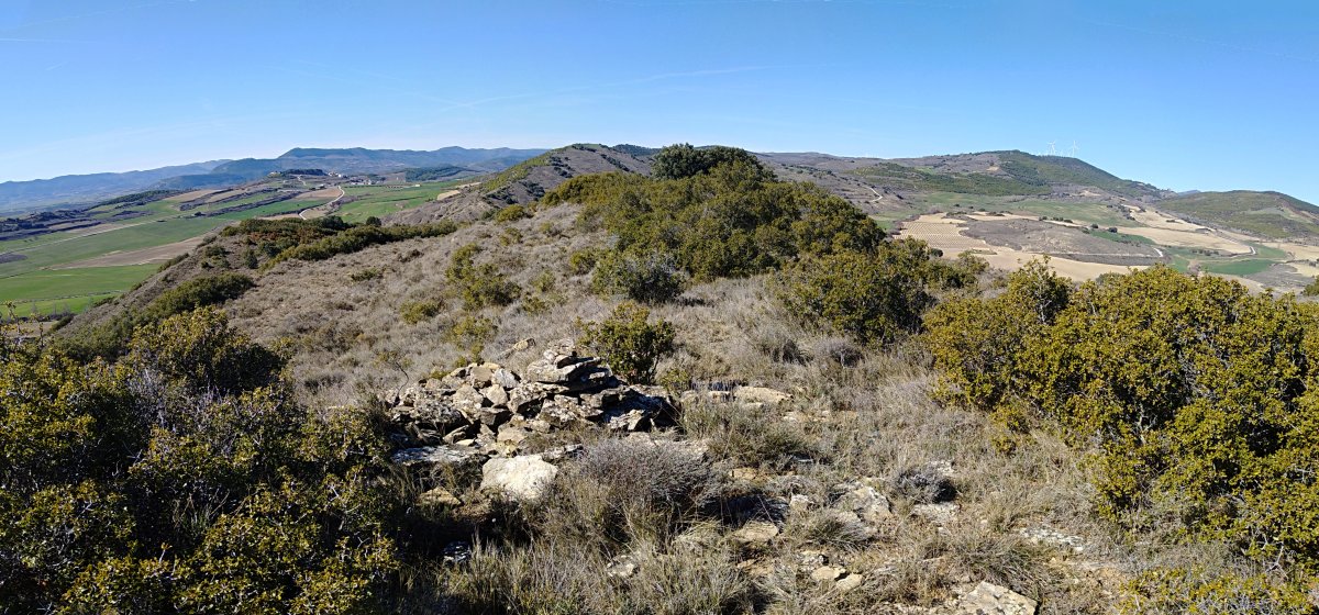 Romeralgo gailurra