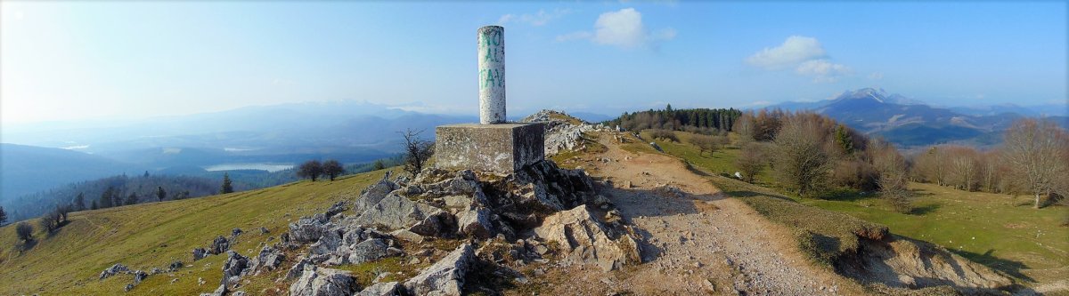 Tontorra