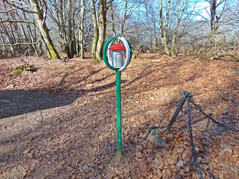 Buzoia