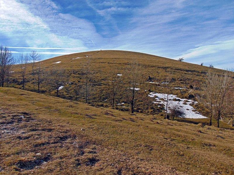Tellakaskueta