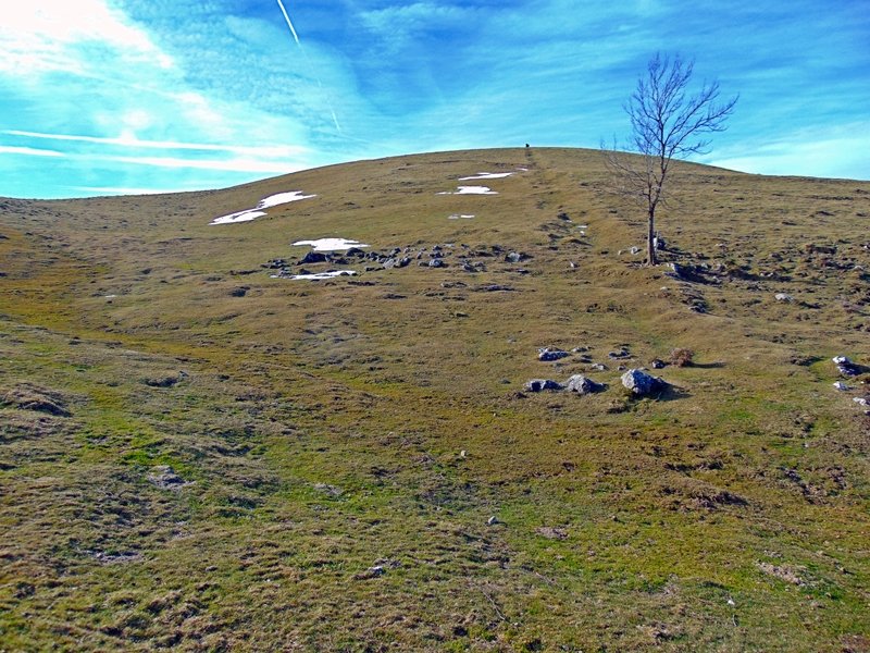 Tellakaskueta