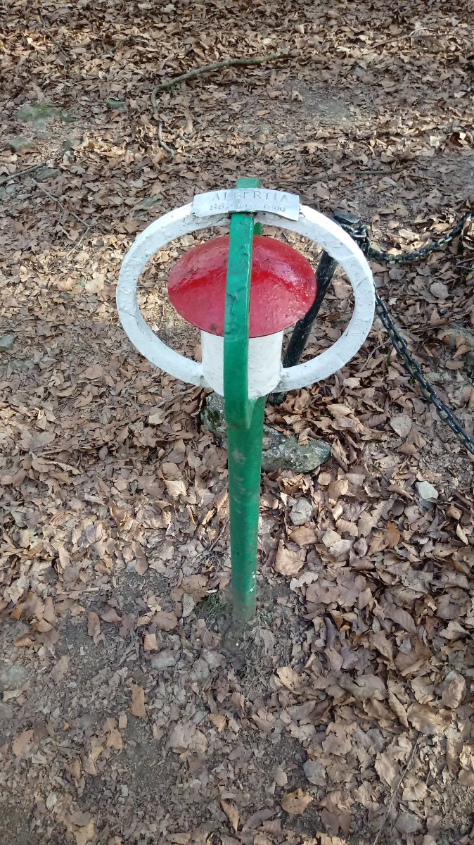 Albertia (867m) postontzia