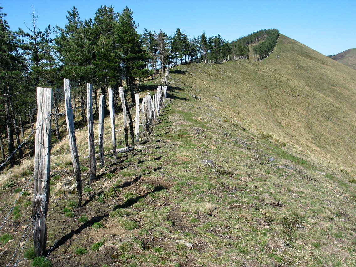 Hegoaldeko bizkarra