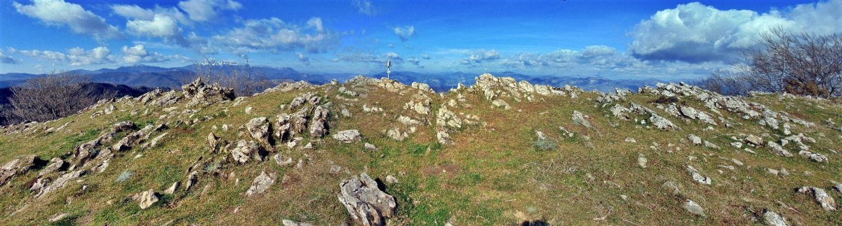 Tontorra