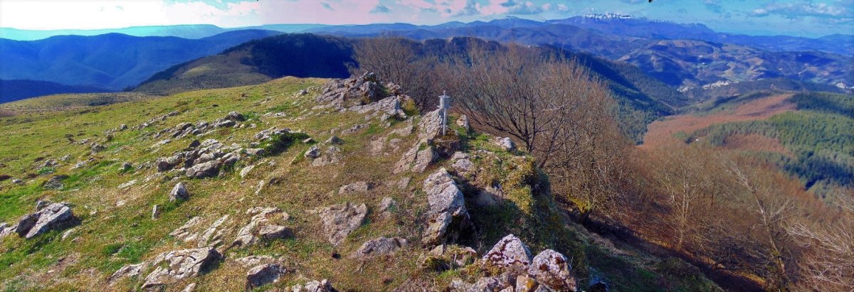 Tontorra