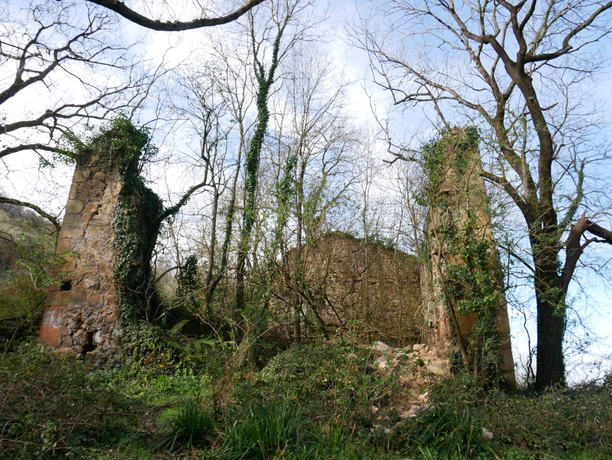 Soraburu (Xaguanea)