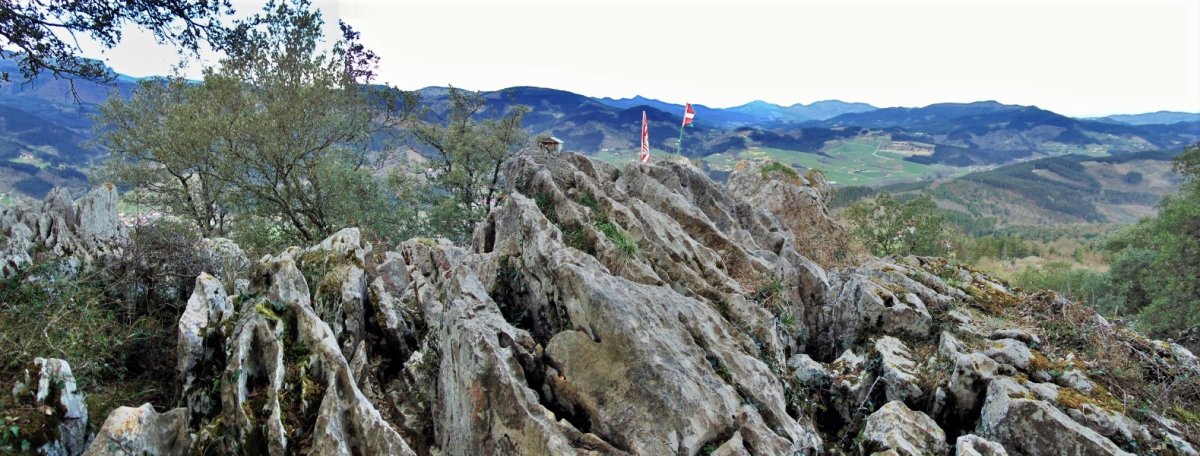 Tontorra