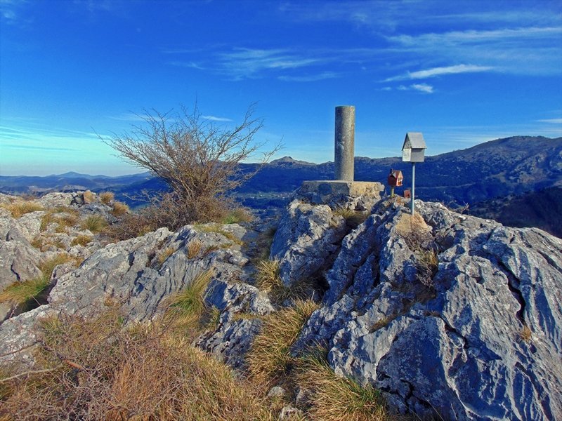 Tontorra