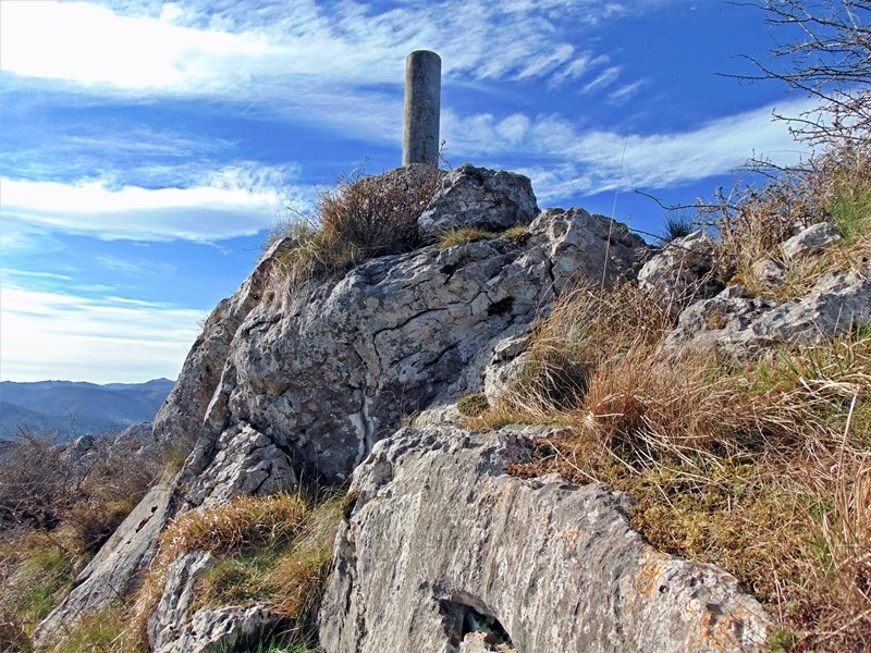 Tontorra