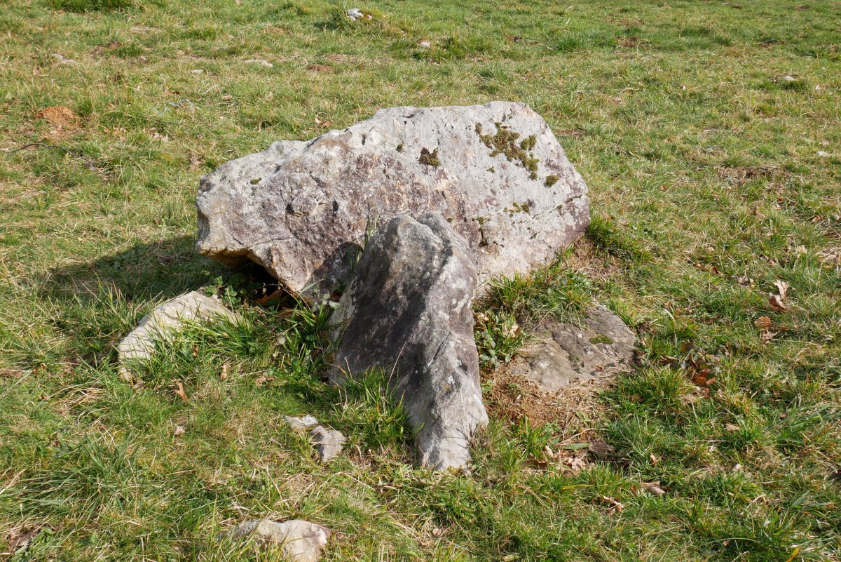 Berrozpin III