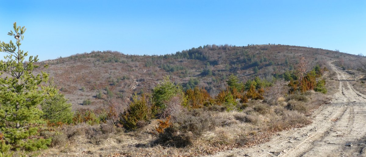 Nabaskozeko bidea