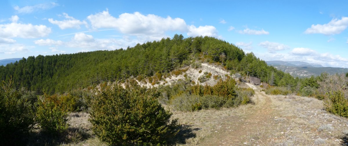 San Lorentzo gaina
