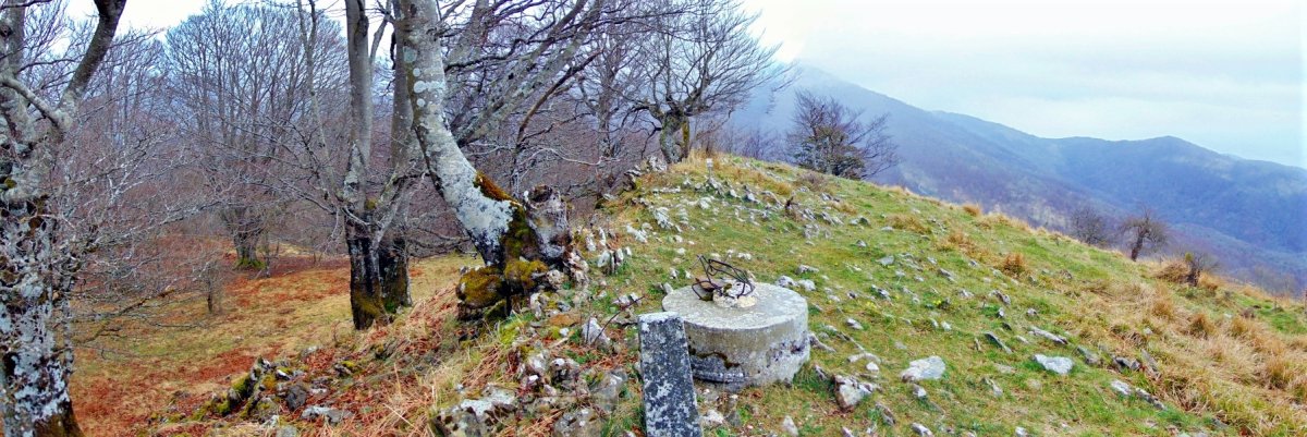 Tontorra
