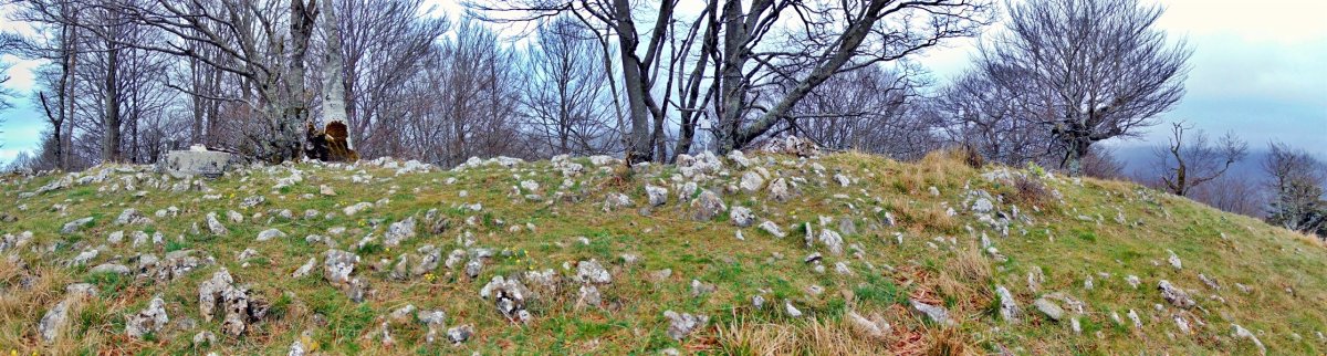 Tontorra