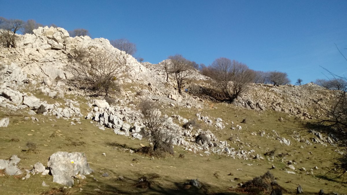 Leungane, igoera