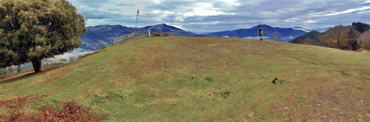Tontorra